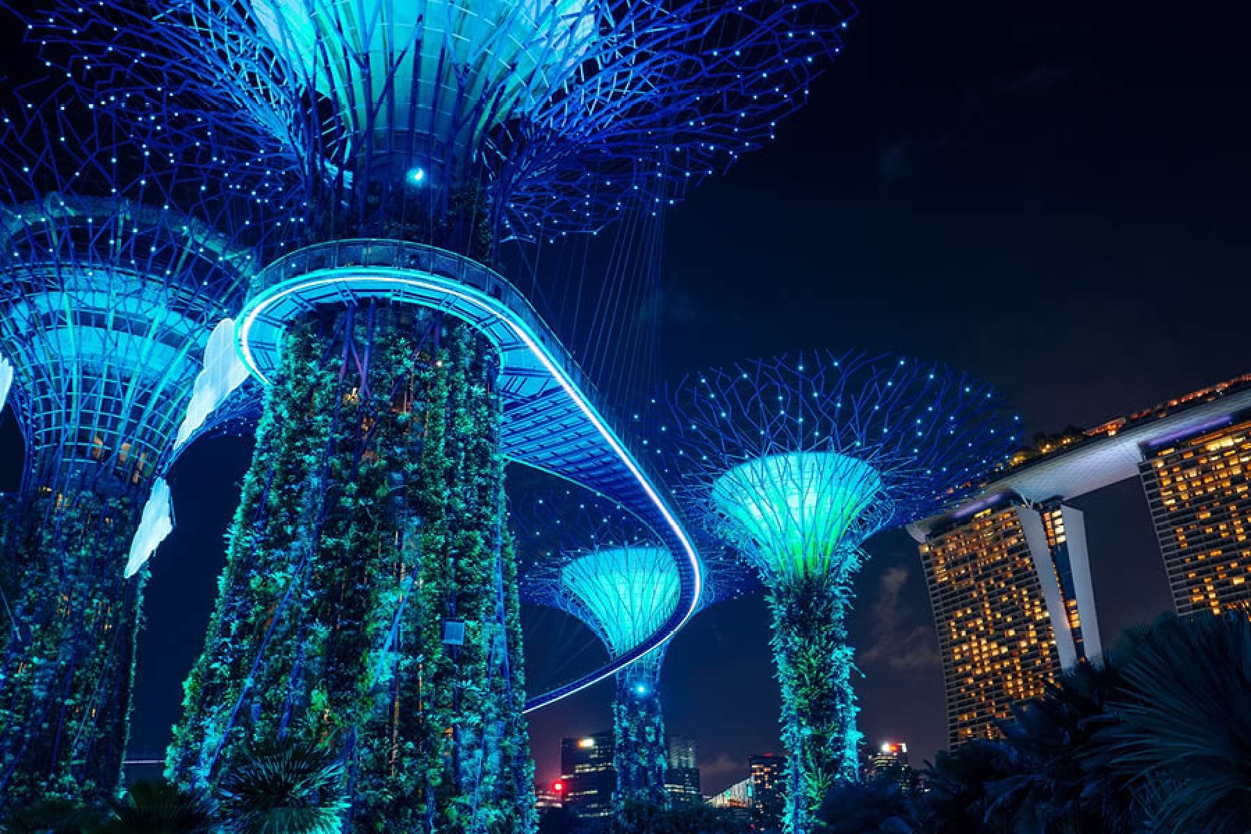 Круиз из Сингапура