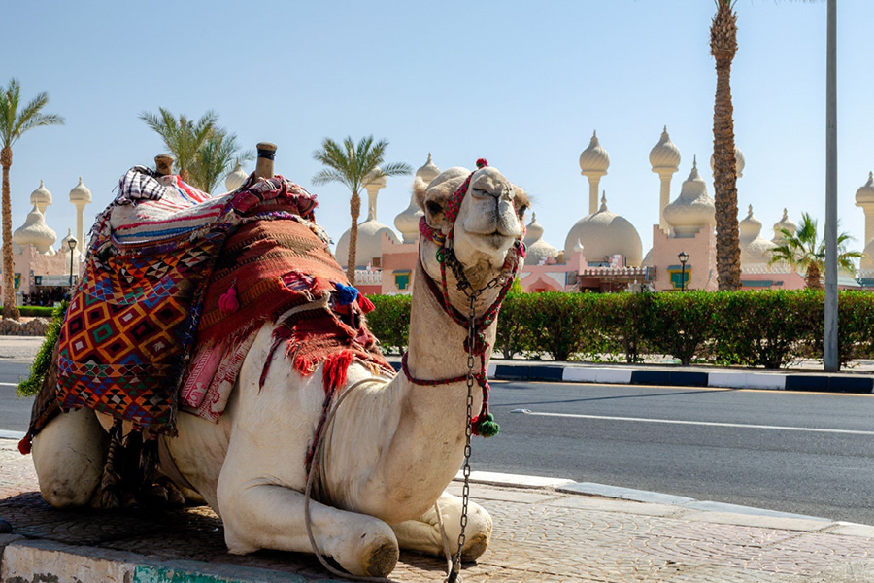 Шарм-эль-Шейх